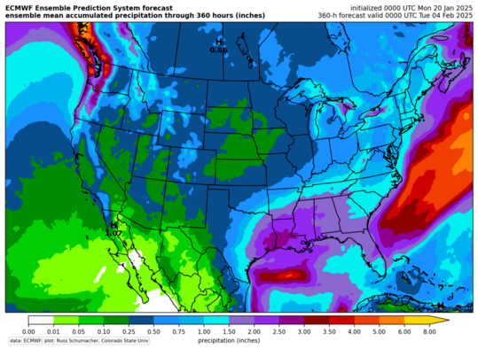 ECMWF EPS mean: Total accumulated precipitation (click image for animation)