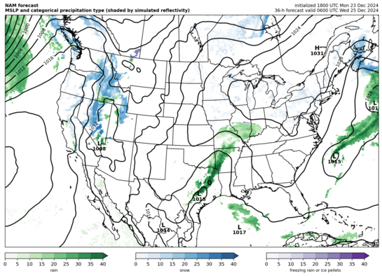 NAM precipitation type (click image for animation)