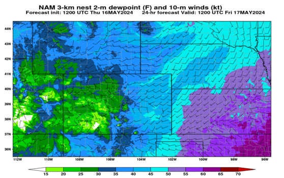 NAM nest 2-m dewpoint and 10-m winds (click image for animation)