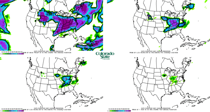 GEFS probabilities of precipitation (click image for animation)