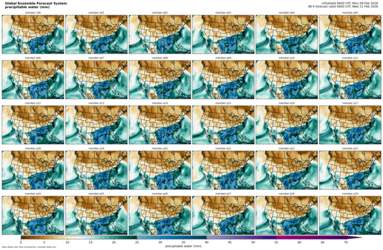 GEFS postage stamps: Precipitable water (click image for animation)